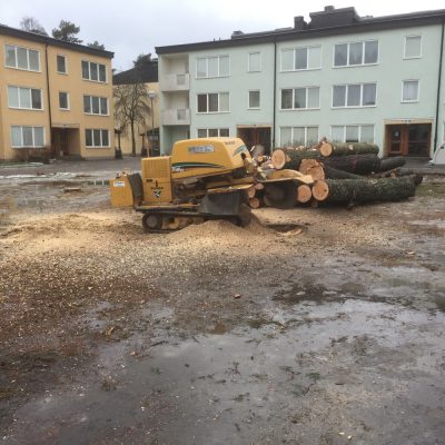 Ca 60 stubbar av blandade storlekar frästes bort…