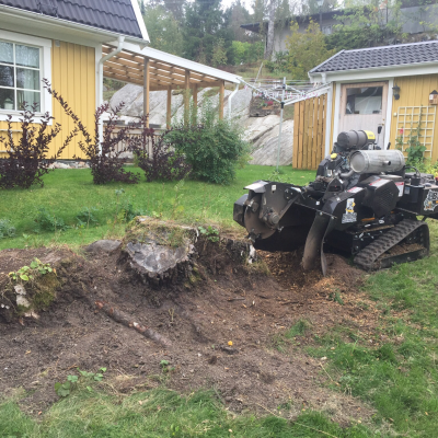 Den lilla maskinen klarar även stora stubbar.