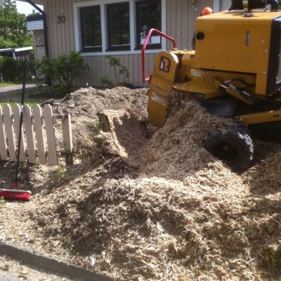 En stor stubbe ger mycket flis.