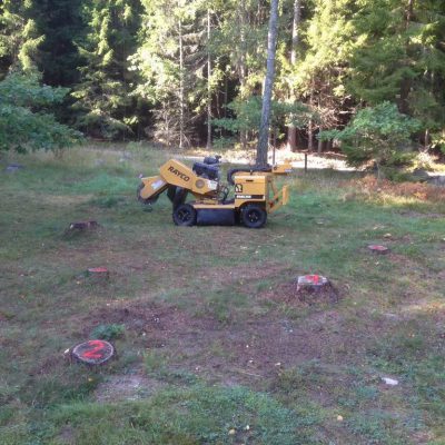 Glöm inte märka upp dina stubbar tydligt.