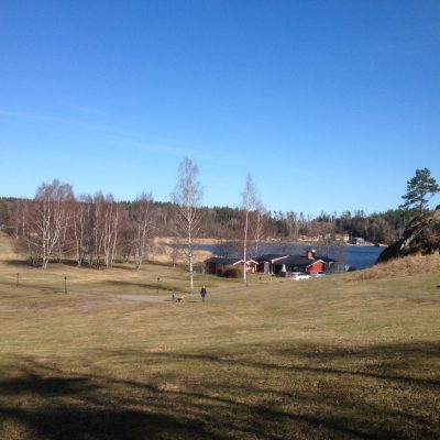 Stubbfri tomt, ca 50 – 60 st stubbar borta