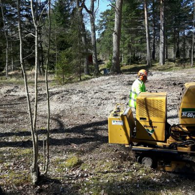 Ännu ett uppdrag ute i skärgården där ett 30-tal större stubbar frästes bort...