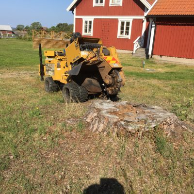 På skärgården för att jaga bort ett antal större stubbar.