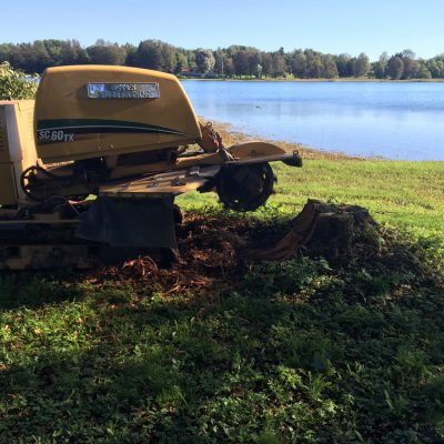 Ett 30 tal stora stubbar försvann i Roslagen.